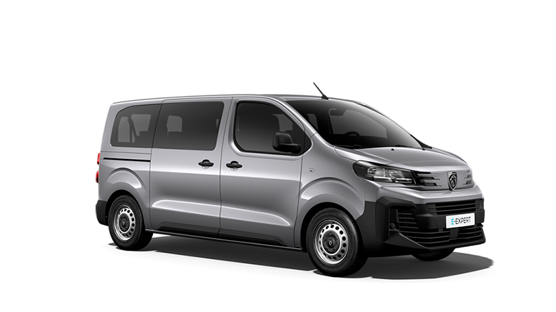 Neuer E-Expert Kombi