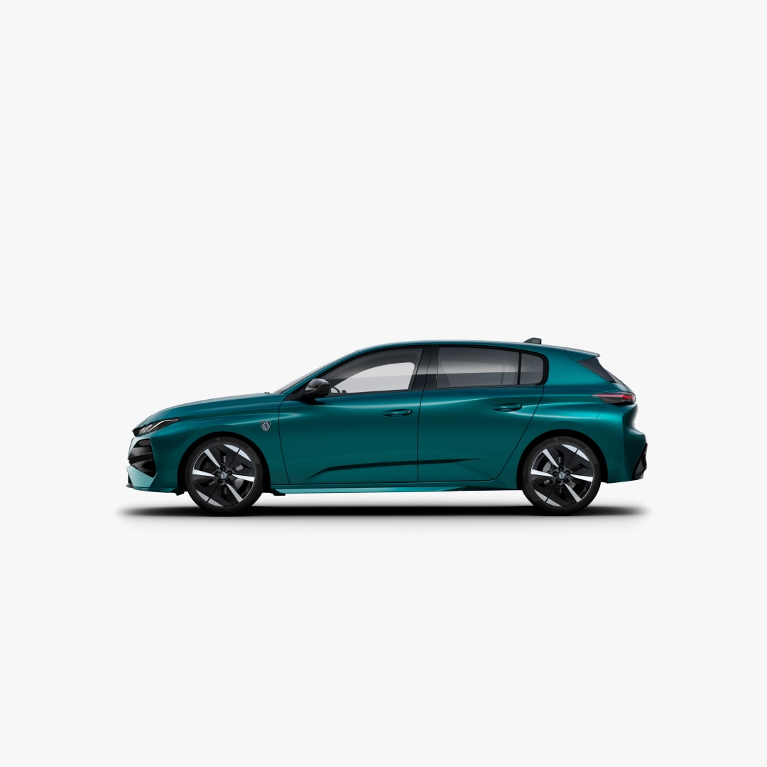 Neuer 308